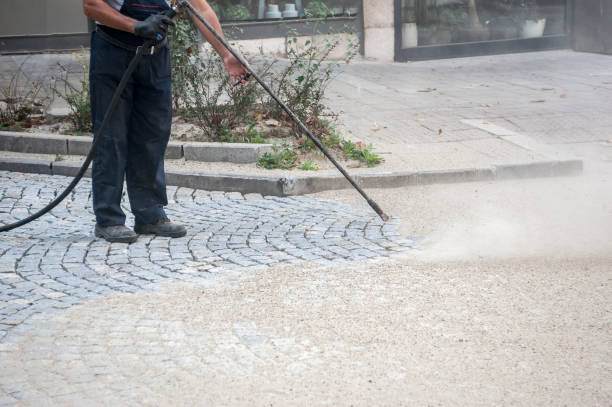 Best Dumpster Area Cleaning  in Monroe Manor, NJ