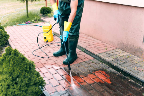 Best Driveway Pressure Washing  in Monroe Manor, NJ